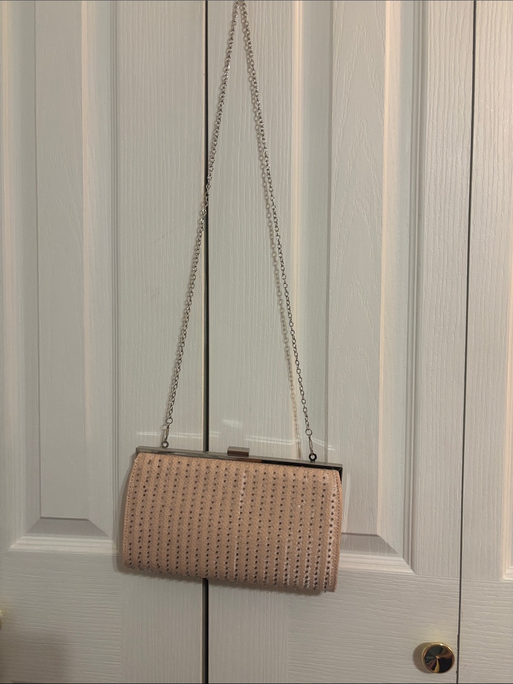 Estee and Lilly Beaded Evening Clutch with Chain (Blush and Silver)